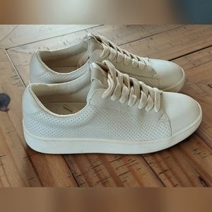 Steve Madden Sneakers